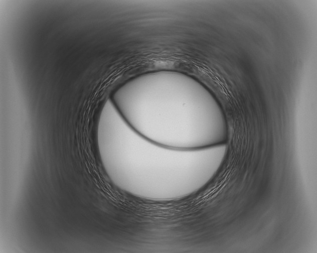 X0000116831249200912181047