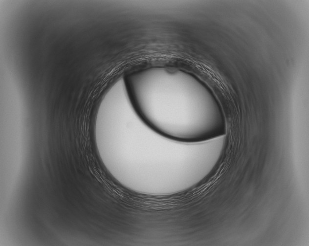 X0000116831252200912181047