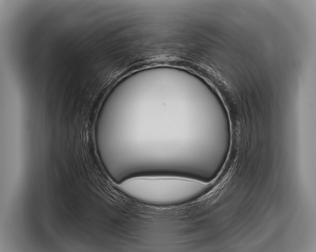 X0000116831257200912181047