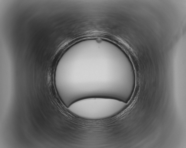 X0000116831259200912181047