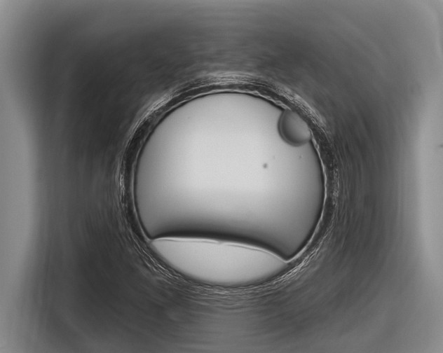 X0000116831261200912181047