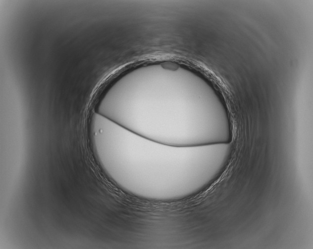 X0000116831262200912181047