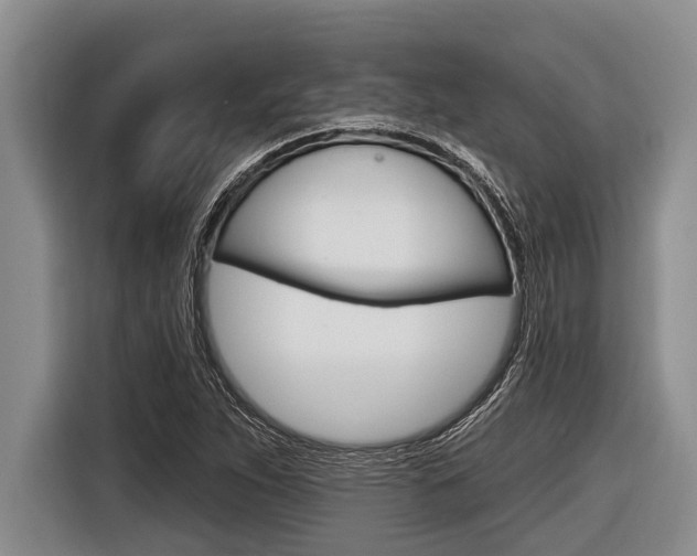 X0000116831263200912181047