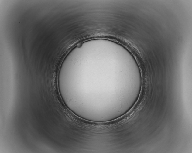X0000116831265200912181047