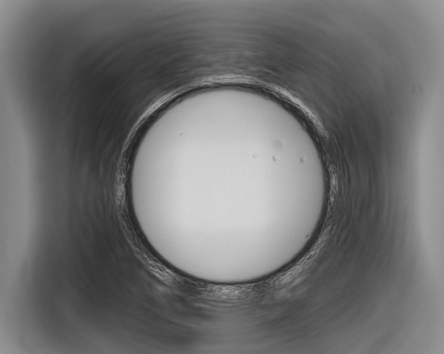X0000116831266200912181047