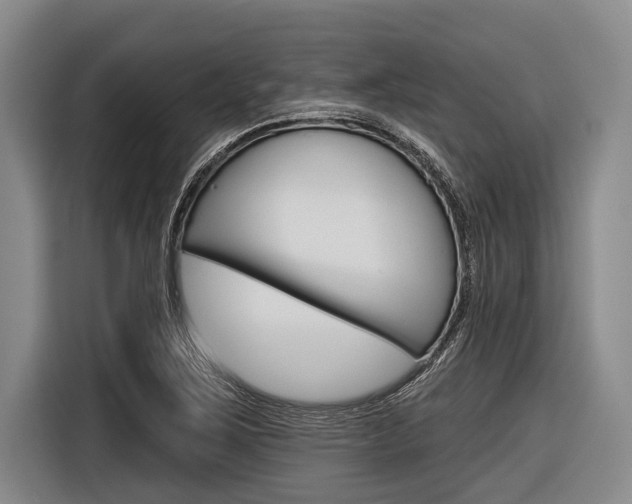 X0000116831267200912181047
