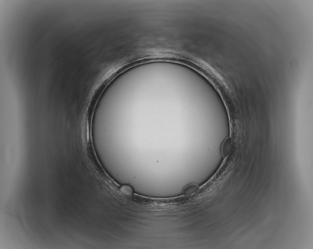 X0000116831269200912181047