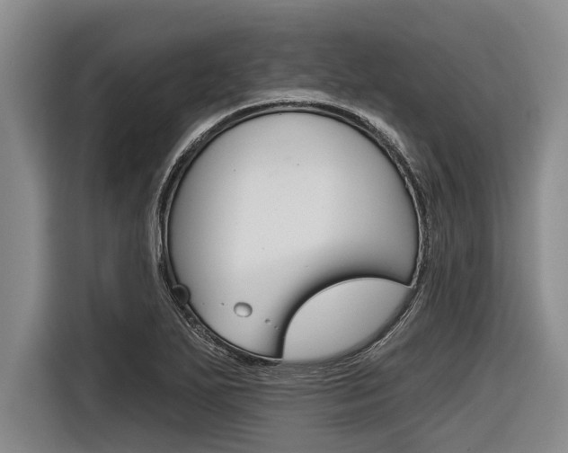 X0000116831271200912181047