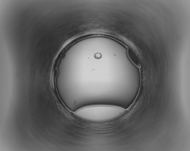 X0000116831272200912181047