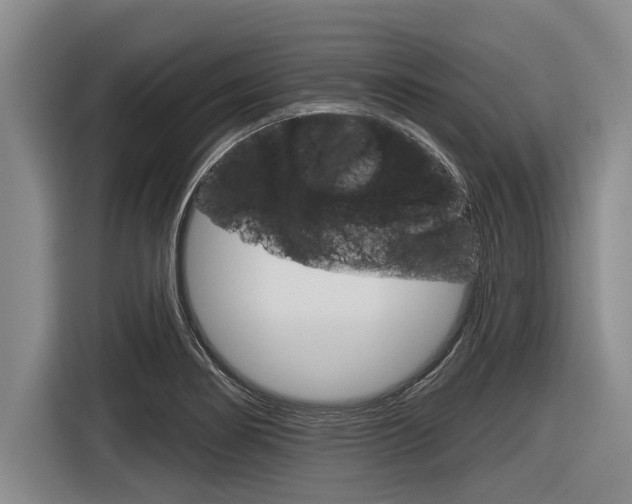 X0000116831274200912181047