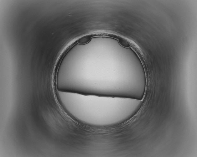 X0000116831279200912181047