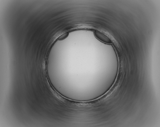 X0000116831281200912181047