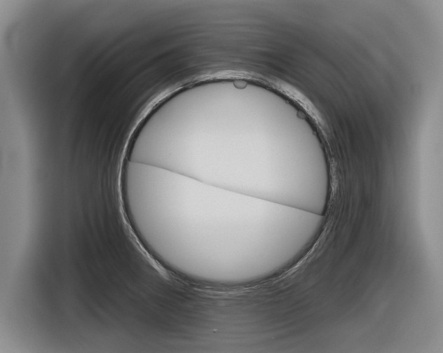 X0000116831282200912181047