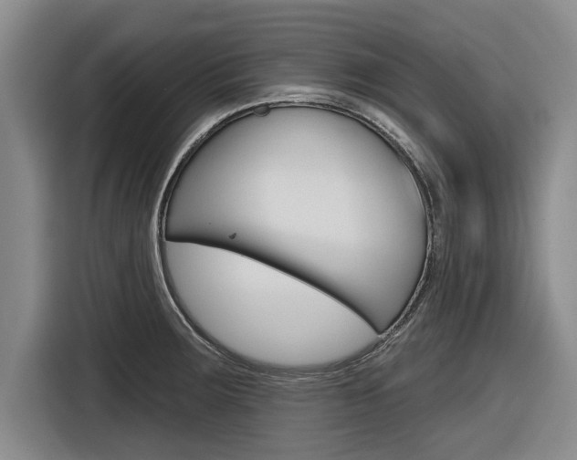 X0000116831283200912181047
