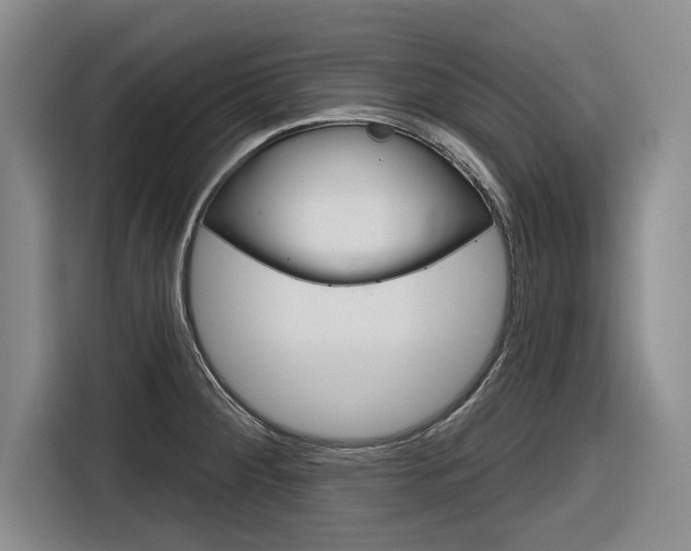 X0000116831284200912181047