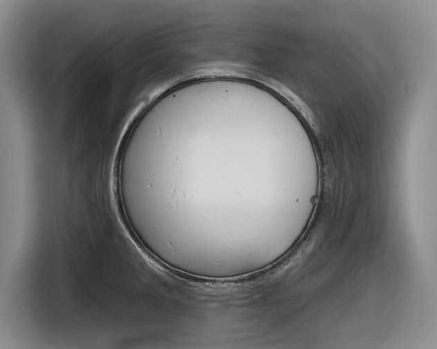 X0000116831285200912181047