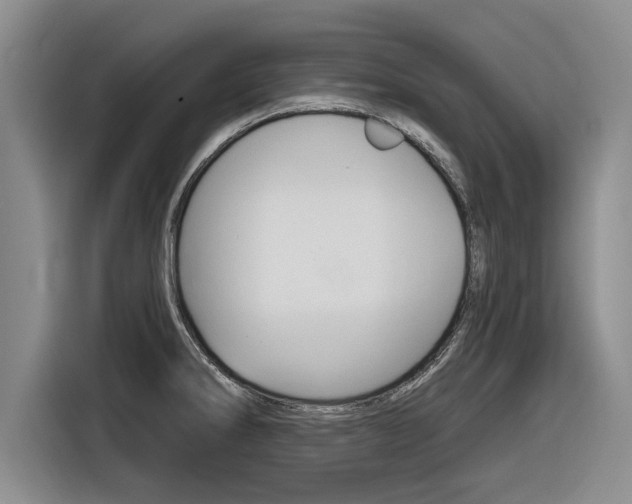 X0000116831286200912181047