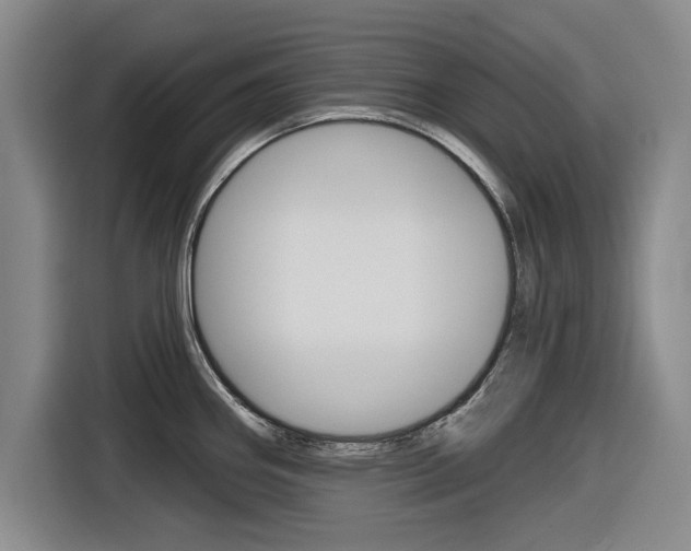 X0000116831290200912181047