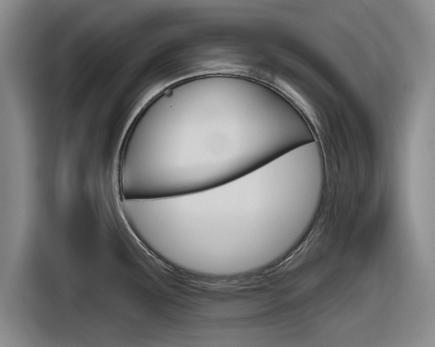 X0000116831291200912181047