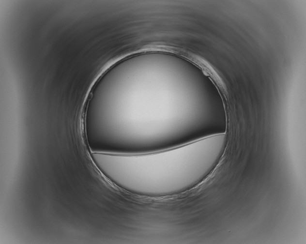 X0000116831292200912181047