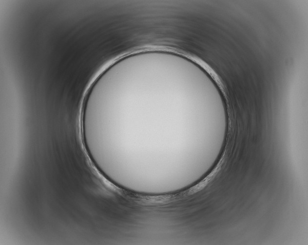 X0000116831294200912181047