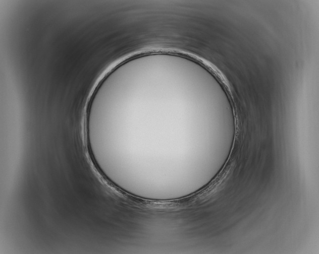 X0000116831295200912181047