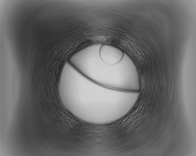 X0000116831297200912181046
