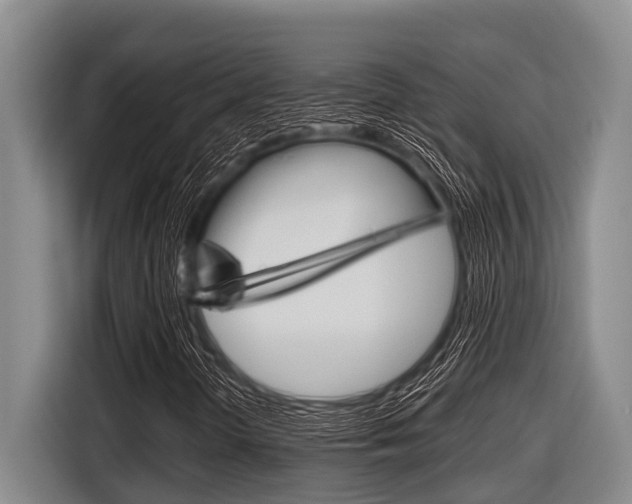 X0000116831298200912181046