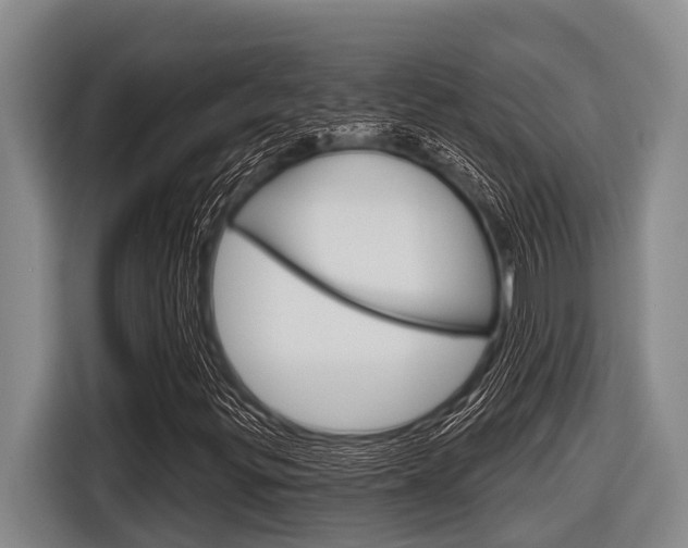 X0000116831299200912181046