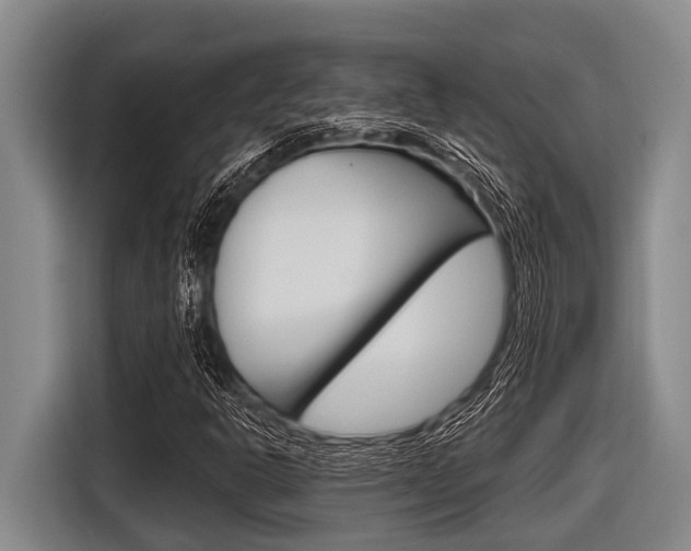 X0000116831302200912181046
