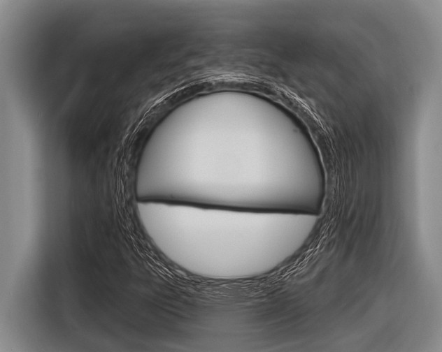 X0000116831303200912181046