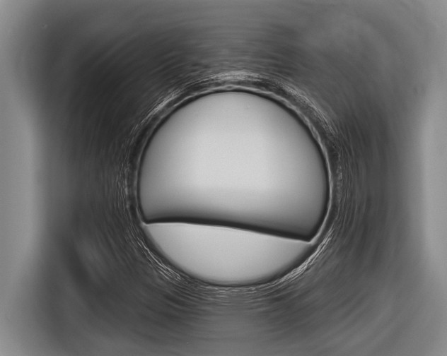 X0000116831305200912181046