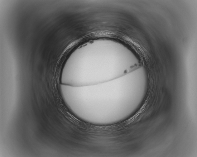 X0000116831306200912181046