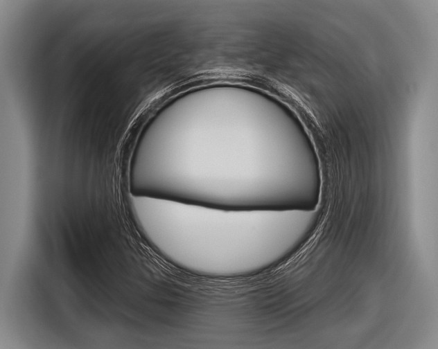 X0000116831307200912181046