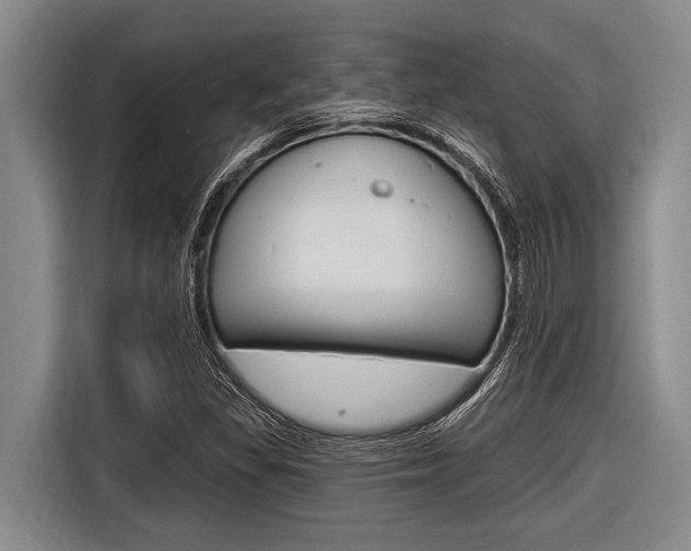 X0000116831309200912181046