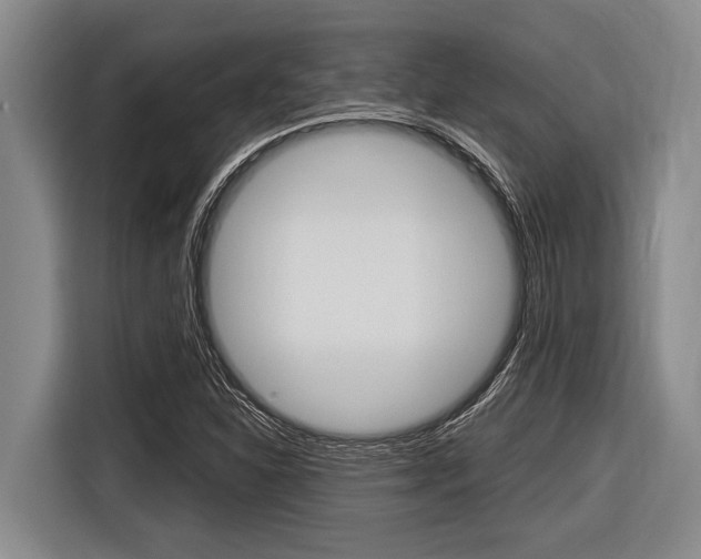 X0000116831310200912181046