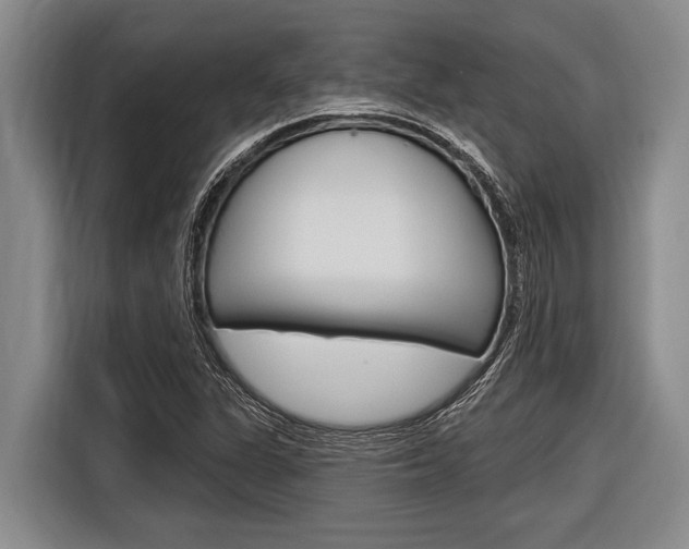 X0000116831311200912181046