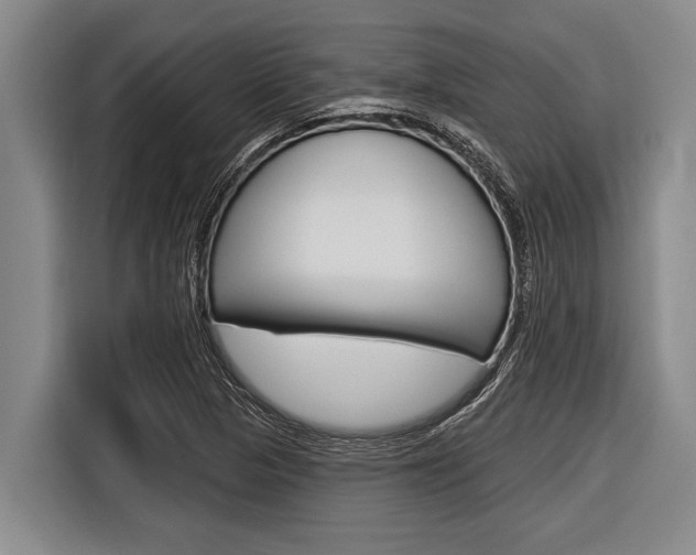 X0000116831313200912181046