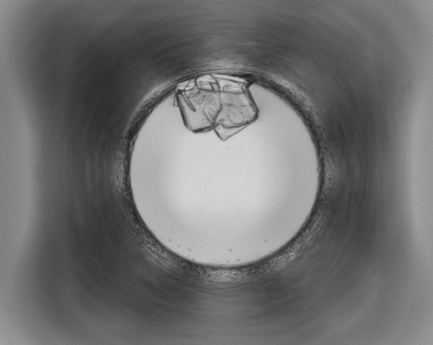 X0000116831314200912181046