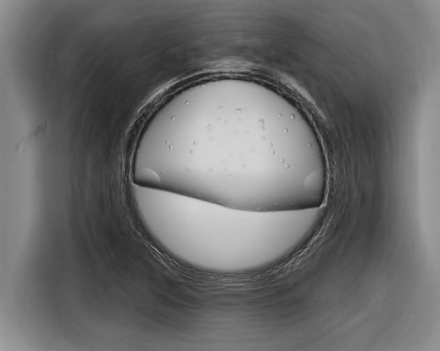 X0000116831315200912181046