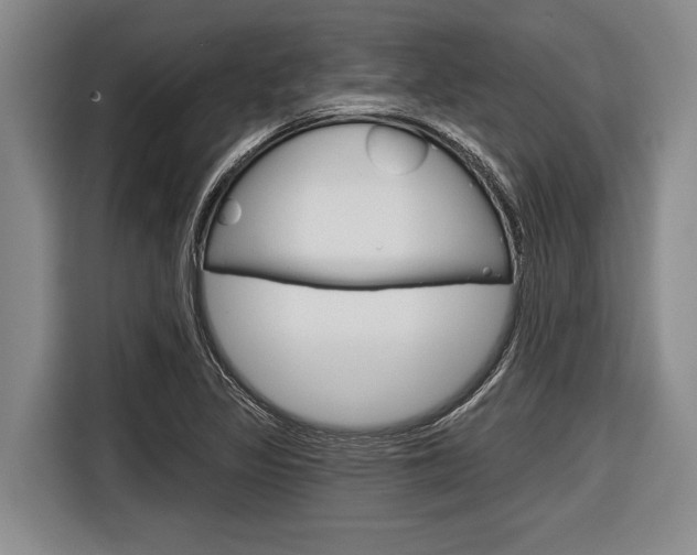 X0000116831317200912181046