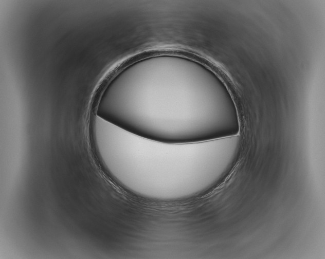 X0000116831319200912181046