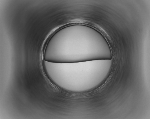 X0000116831323200912181046
