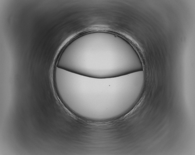 X0000116831325200912181046