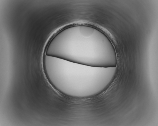 X0000116831327200912181046