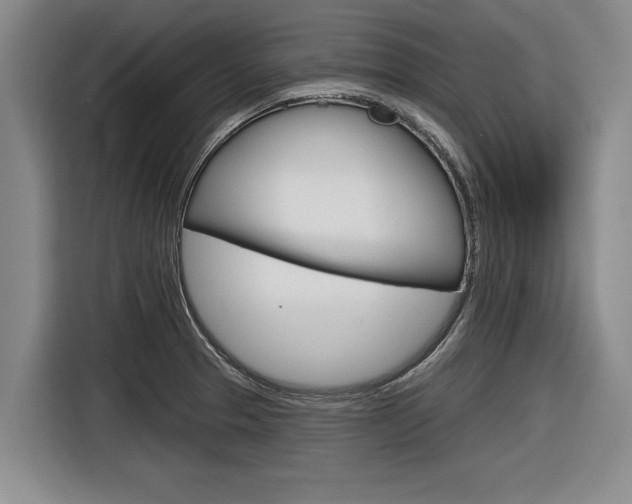 X0000116831329200912181046