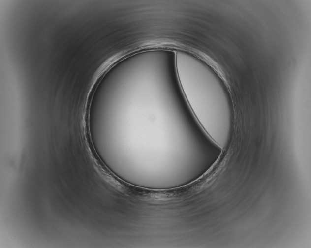 X0000116831330200912181046
