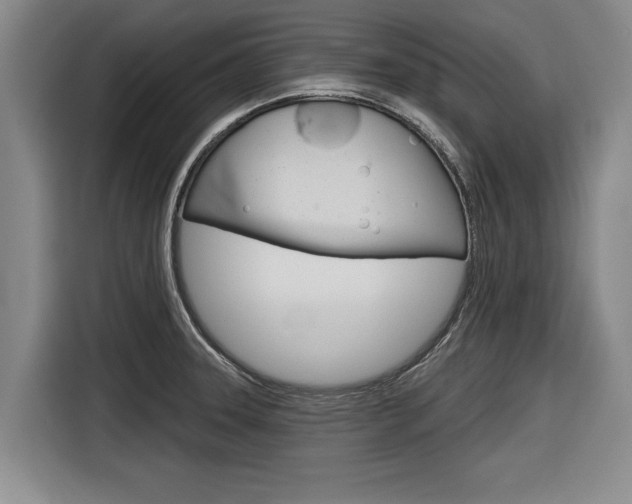 X0000116831331200912181046