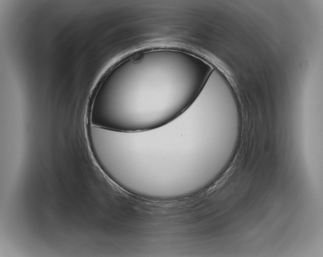 X0000116831334200912181046