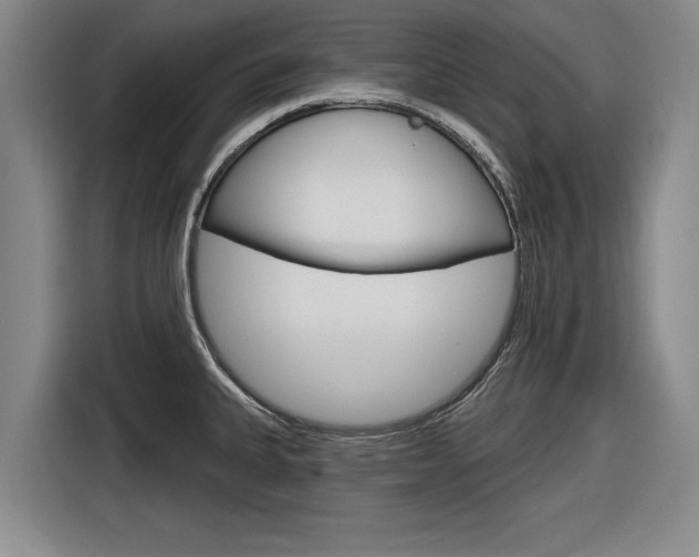 X0000116831335200912181046